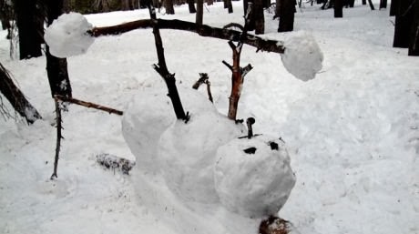 Snow Day